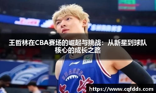 王哲林在CBA赛场的崛起与挑战：从新星到球队核心的成长之路